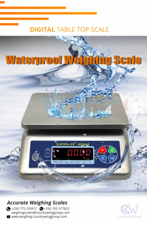 digital-waterproof-weight-stainless-steel-scales-big-0