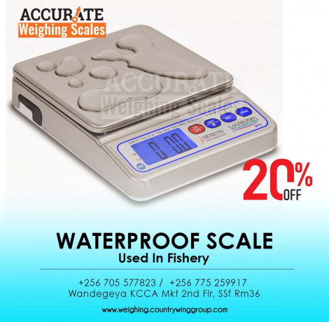 electronic-waterproof-housing-scales-30kg-weight-big-0