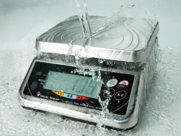 durable-and-water-resistant-wash-down-weighing-scale-big-0