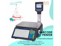 30kg-tma-barcode-label-printing-scales-retail-shop-small-0