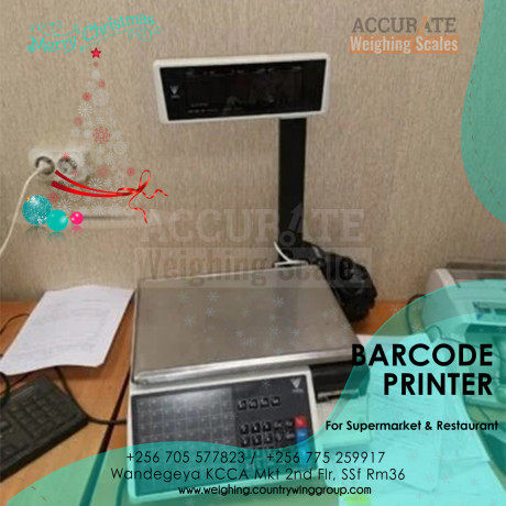 electronic-barcode-label-printing-scales-weighing-scale-big-0