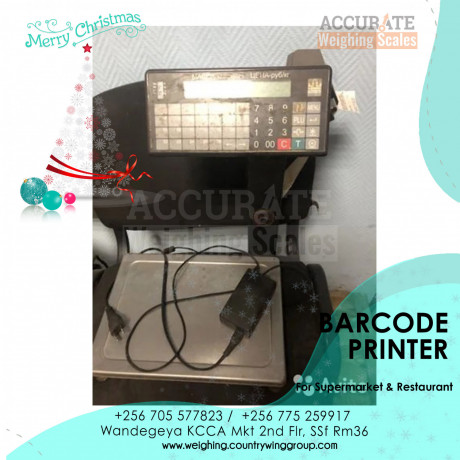 barcode-price-printing-weighing-scale-for-retail-stores-big-0