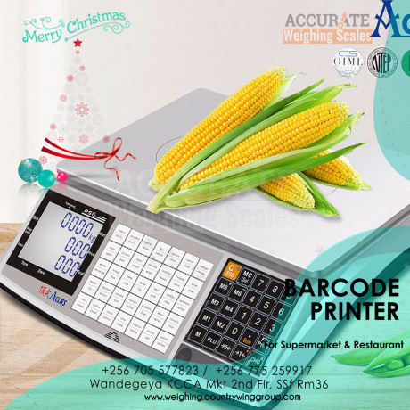 commercial-scale-electronic-digital-barcode-label-scale-big-0