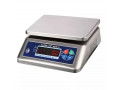 digital-heavy-duty-waterproof-scale-with-hygienic-design-small-0