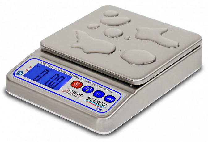 table-top-rustproof-weighing-scales-for-seafood-markets-use-big-0