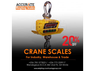 Versatile digital mini crane scale ideal for commercial use