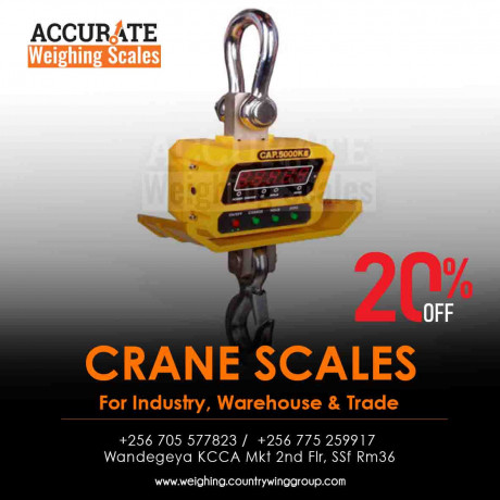 versatile-digital-mini-crane-scale-ideal-for-commercial-use-big-0