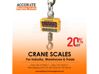 OCS-T-300kg Digital Hanging Scale