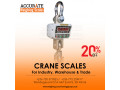 rhorawill-crane-scale-300kgs-double-accuracy-electronic-small-0