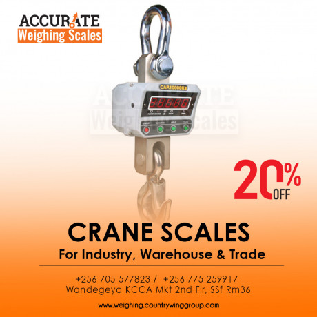 rhorawill-crane-scale-300kgs-double-accuracy-electronic-big-0