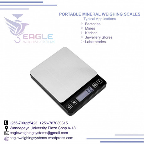 electronic-balance-pocket-weighing-scale-in-mukono-big-0