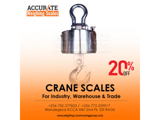 300kg Industrial LCD Digital crane weighing scale