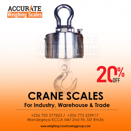 300kg-industrial-lcd-digital-crane-weighing-scale-big-0