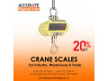 precise-mini-crane-scale-portable-lcd-display-small-0