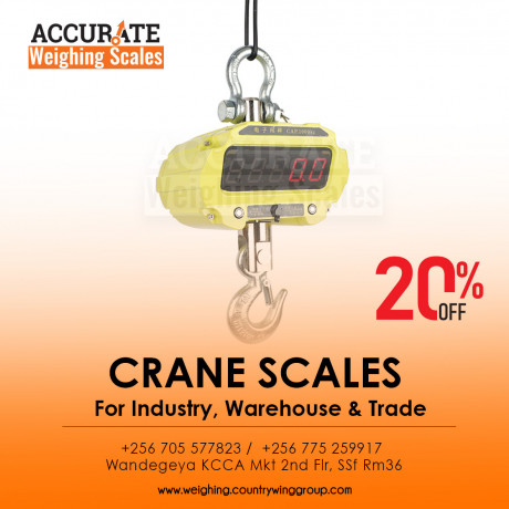 precise-mini-crane-scale-portable-lcd-display-big-0