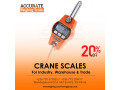 digital-mini-crane-weighig-scale-sling-small-0