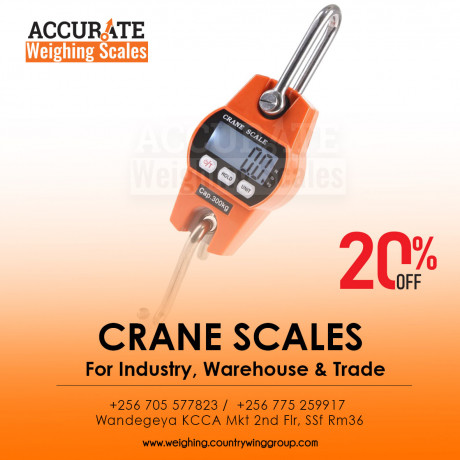 digital-mini-crane-weighig-scale-sling-big-0