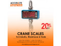 portable-electronic-mini-crane-weighting-scale-small-0