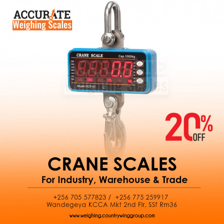 portable-electronic-mini-crane-weighting-scale-big-0