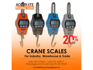 Mini Portable Crane weight Scale 300kg 0.1kg