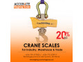 lcd-electronic-mini-portable-crane-scale-small-0