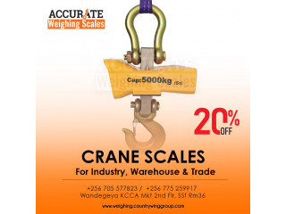 LCD Electronic Mini Portable Crane Scale