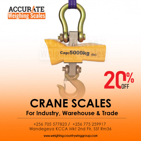 lcd-electronic-mini-portable-crane-scale-big-0