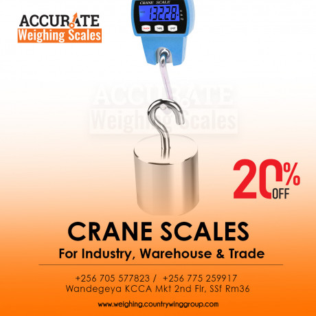 digital-electronic-hook-hanging-scale-big-0