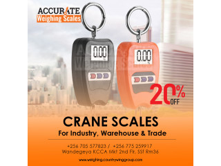 300KG/660LBS Mini Crane weighing Scale Portable LCD