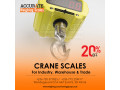 digital-electronic-balance-hanging-scale-300kgx10g-small-0