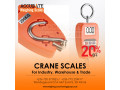 300kgx-01kg-electronic-portable-mini-crane-scale-weight-small-0