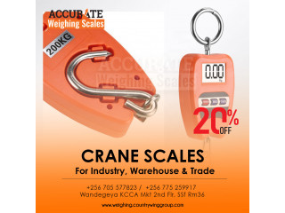 300kgx 0.1kg Electronic Portable Mini Crane Scale Weight