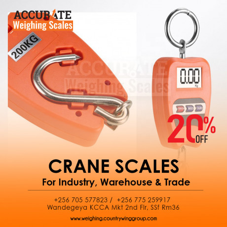 300kgx-01kg-electronic-portable-mini-crane-scale-weight-big-0