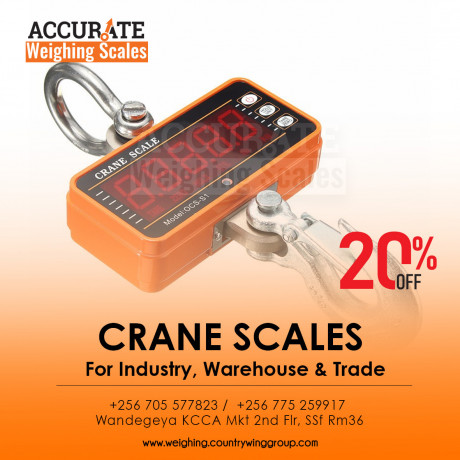 mini-portable-crane-scale-300kg-01kg-lcd-digital-big-0