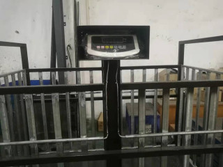 Digital weighing indicator goat farming animal scale