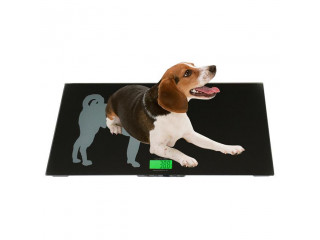 Digital Livestock Veterinary animal 500kg Platform Scale