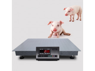 Digital weighing indicator goat farming animal scale