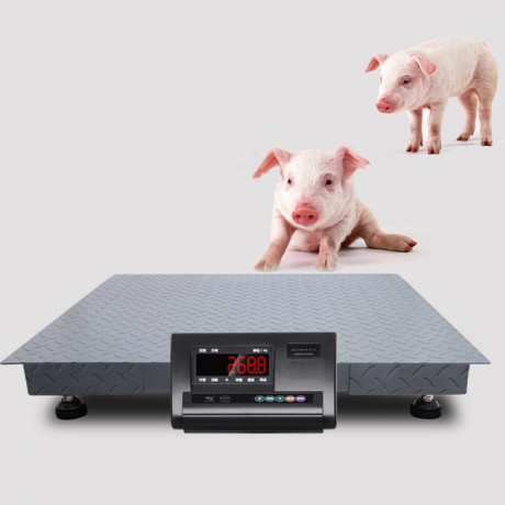 digital-weighing-indicator-goat-farming-animal-scale-big-0