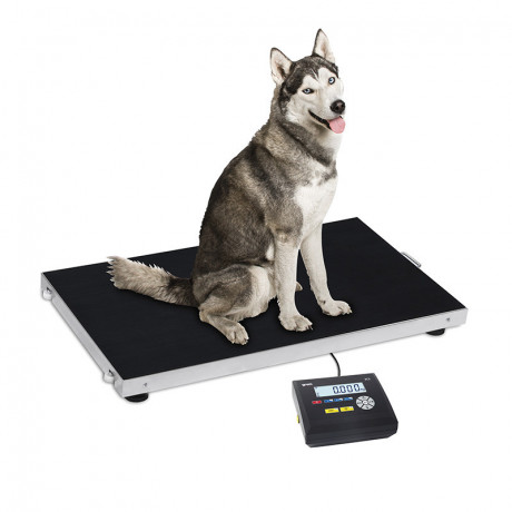 electronic-animal-floor-cattle-weighing-scale-indicator-big-0