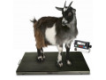 sheep-horse-floor-scales-animal-livestock-weighing-scale-small-0