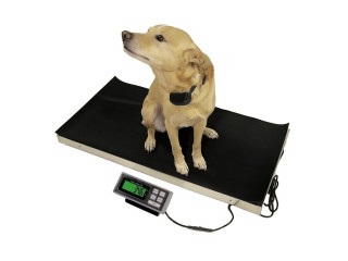 Electronic waterproof digital animal weighing scale for pets