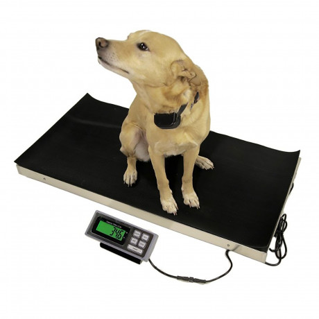 electronic-waterproof-digital-animal-weighing-scale-for-pets-big-0