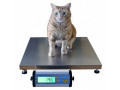 digital-veterinary-weighing-scales-for-dogs-and-cats-150kgs-small-0