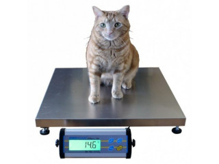 Digital Veterinary weighing scales for dogs and cats 150kgs