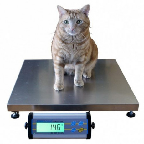 digital-veterinary-weighing-scales-for-dogs-and-cats-150kgs-big-0