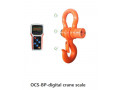 heavy-duty-mini-crane-scale-hanging-scale-lcd-display-weight-scale-small-0