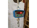 heavy-duty-mini-meat-hanging-crane-scale-electronic-small-0