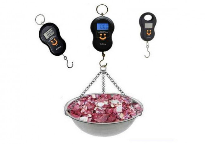 digital-handheld-hook-hanging-scale-50kg-luggage-scale-big-0