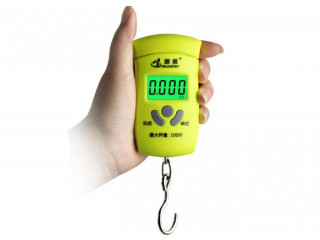 Best sellers digital luggage Hanging Scale hook type