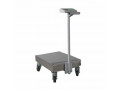 certified-a12-platform-weighing-scale-suppliers-kampala-small-0